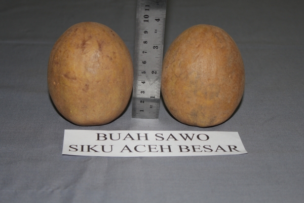 SAWO SIKU