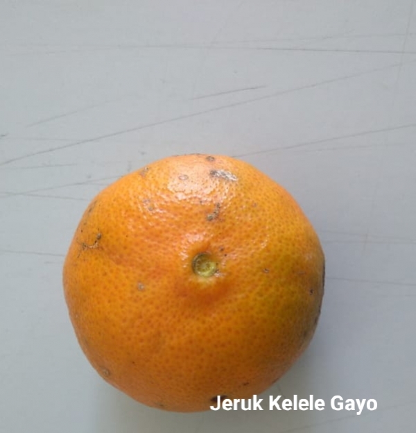 JERUK
